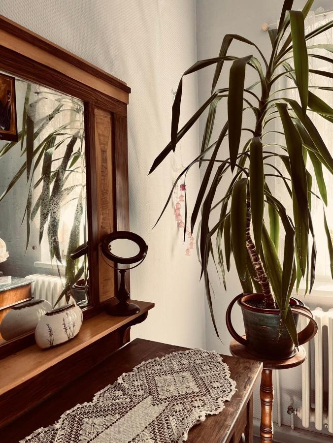 Ferienwohnung Geister Наумбург Екстериор снимка